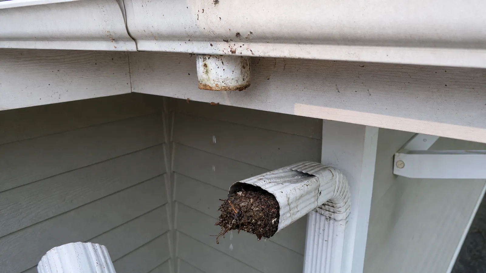 Representative before image of a clogged downspout outlet